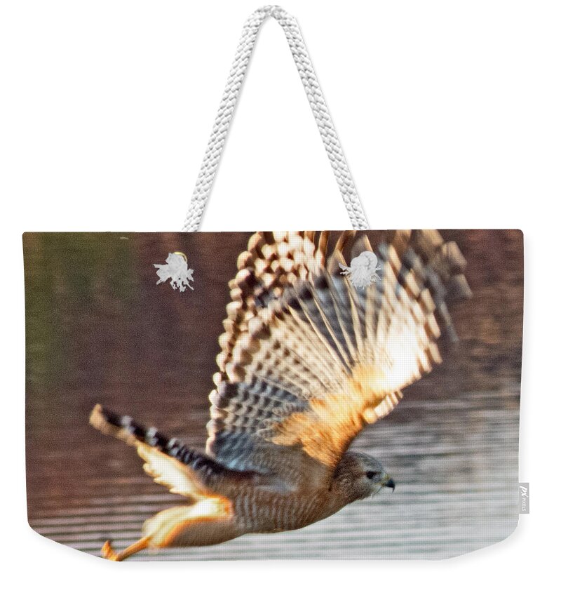 Wildlife Weekender Tote Bag featuring the photograph Away by T Guy Spencer
