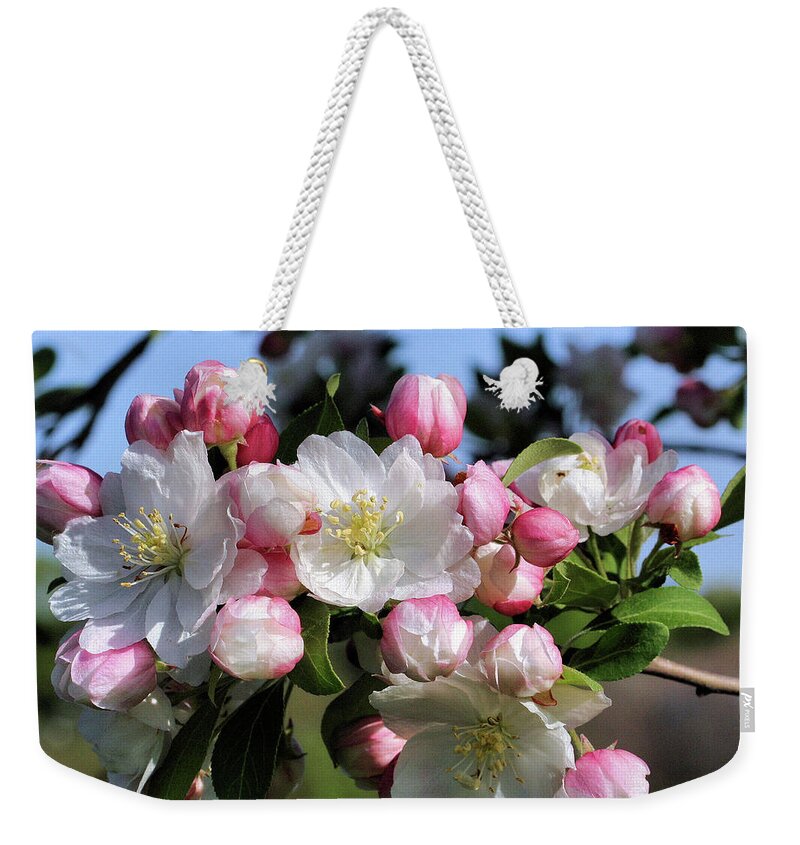 Blossoms Weekender Tote Bag featuring the photograph Awesome Blossoms by Smilin Eyes Treasures