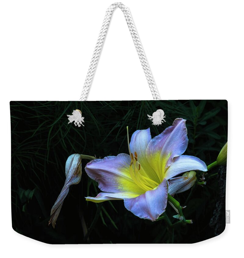 Hayward Garden Putney Vermont Weekender Tote Bag featuring the photograph Awesome Daylily by Tom Singleton