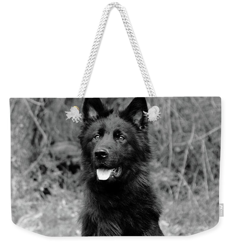 German Shepherd Weekender Tote Bag featuring the photograph Aziza #1 by Sandy Keeton