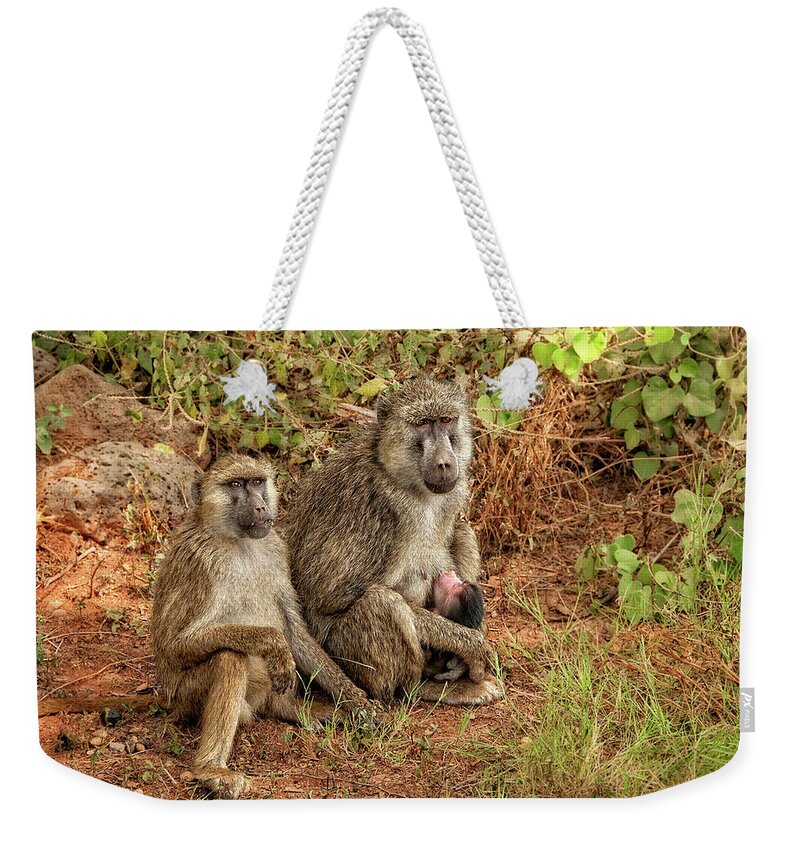 Africa Weekender Tote Bag featuring the photograph Baboon Family in Kenya by Mitchell R Grosky