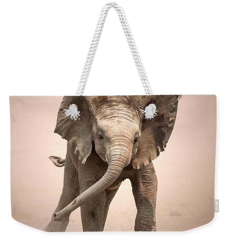 Elephant Weekender Tote Bag featuring the photograph Baby Elephant mock charging by Johan Swanepoel