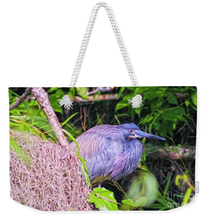 Nature Weekender Tote Bag featuring the digital art Baby Great Blue Heron - TWO by DB Hayes