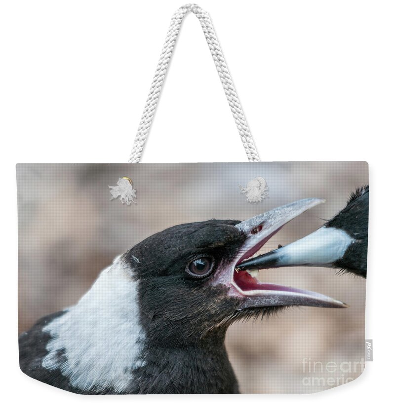 Magpie Weekender Tote Bag featuring the photograph Baby Magpie 2 by Werner Padarin