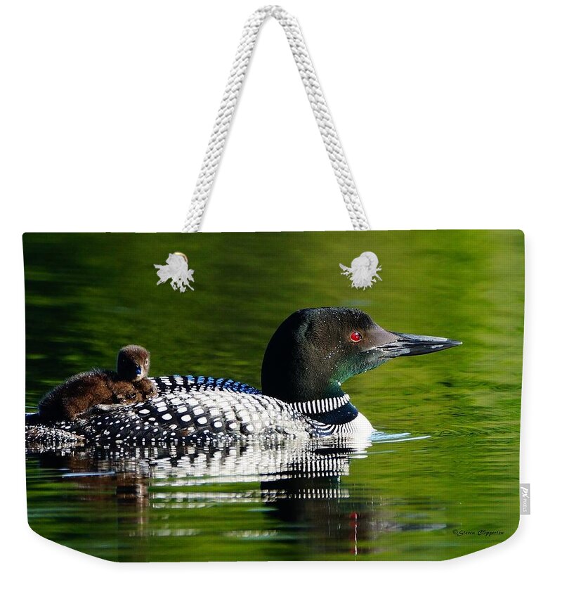 Loon Weekender Tote Bag featuring the photograph Baby on Board 2 by Steven Clipperton