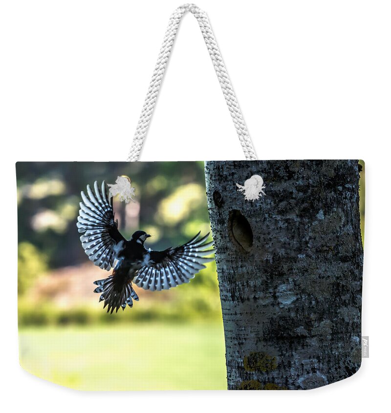 Backlighting Weekender Tote Bag featuring the photograph Backlighting by Torbjorn Swenelius