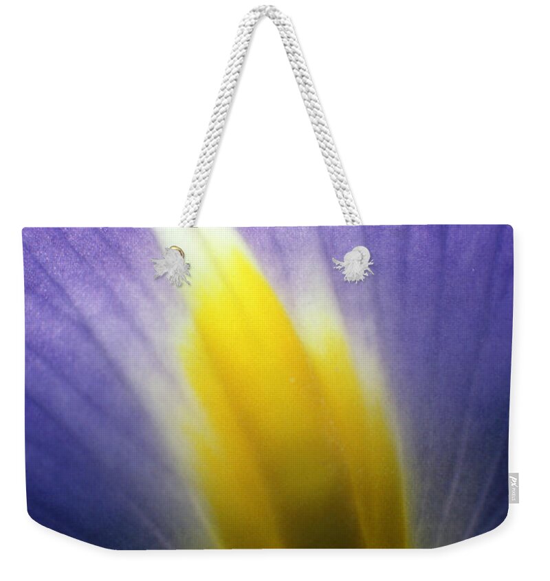 Rick Bures Weekender Tote Bag featuring the photograph Backlit Iris Flower Petal Close Up Purple and Yellow by Rick Bures