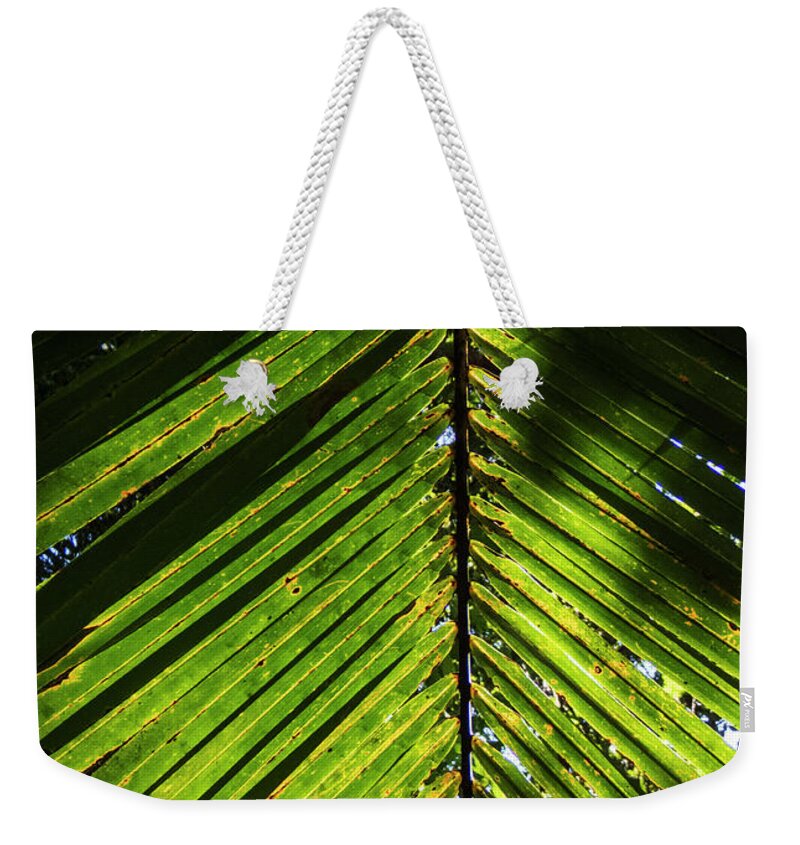 Backlit Palm Leaf Weekender Tote Bag featuring the photograph Backlit Palm Leaf in Jamaica by David Oppenheimer