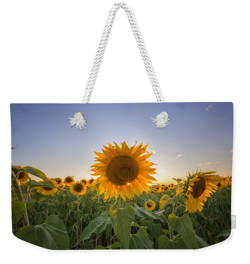 Flowers Weekender Tote Bag featuring the photograph Backlit by Paul Schultz