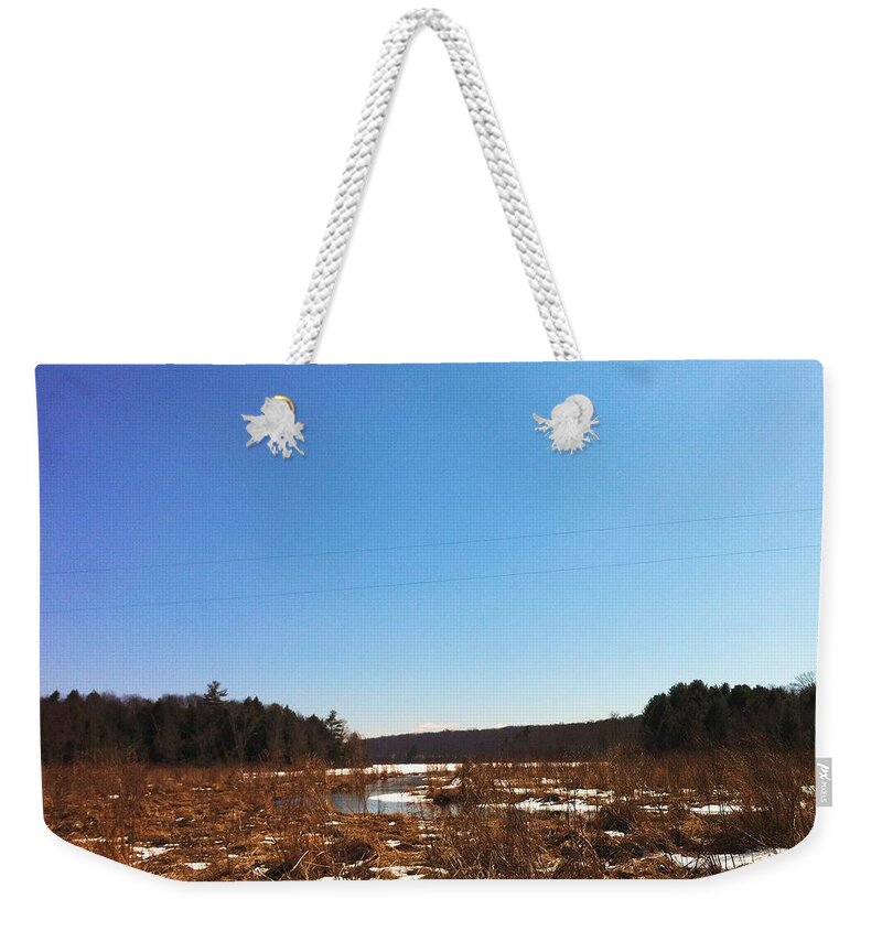 Backwoods Weekender Tote Bag featuring the photograph Backwoods Bog by Annie Walczyk