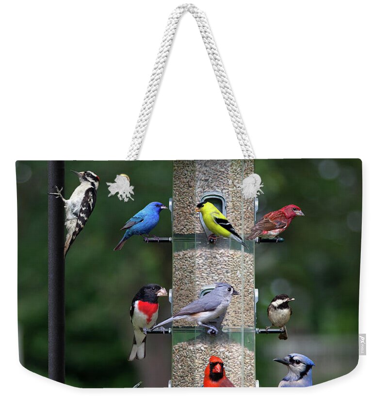 Birds Weekender Tote Bag featuring the photograph Backyard Bird Feeder by Larry Landolfi