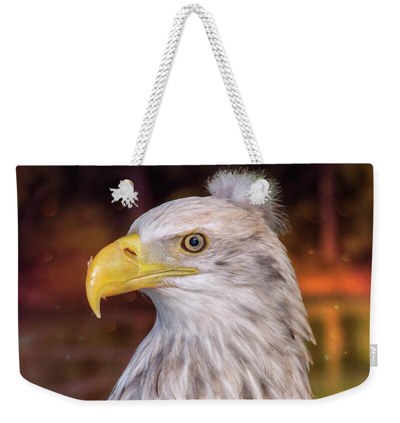 Bald Eagle Weekender Tote Bag featuring the photograph Bad Hair Day Bald Eagle by Bill and Linda Tiepelman