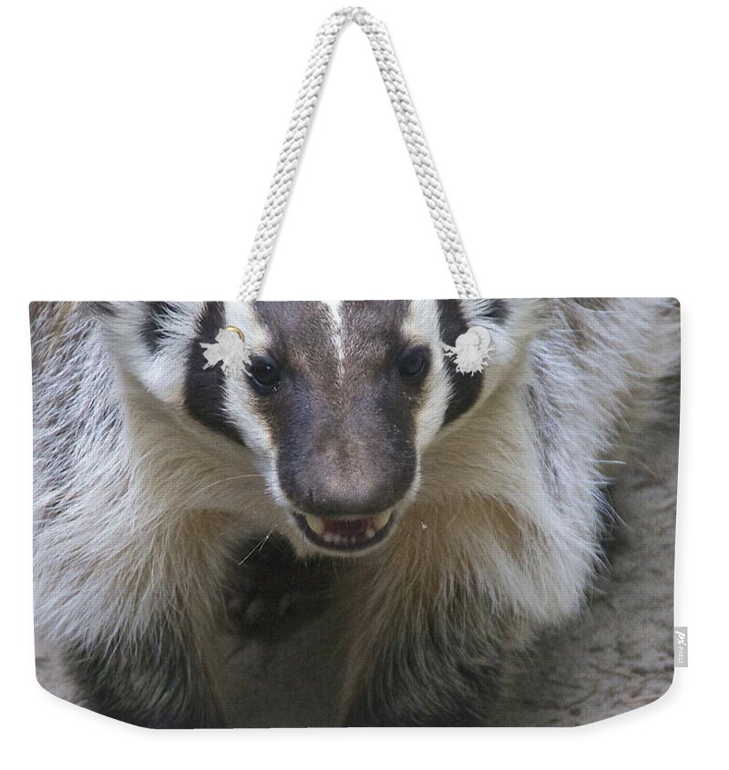 Photography Weekender Tote Bag featuring the photograph Badgered Badger by Sean Griffin