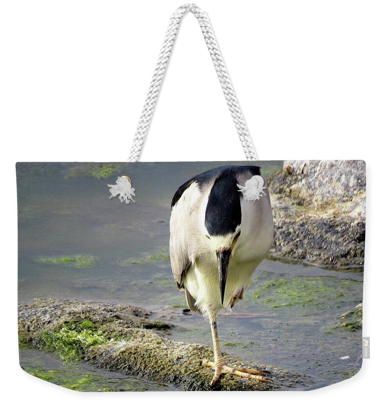 Birds Weekender Tote Bag featuring the photograph Balance by Linda Stern