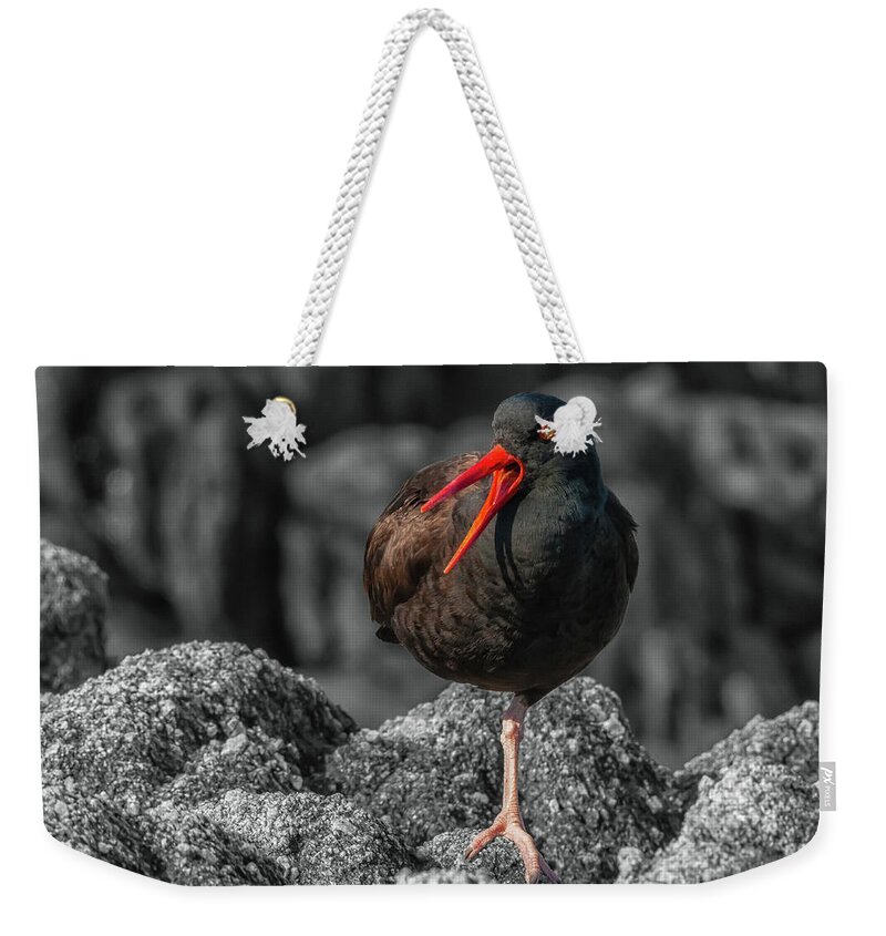  Wildlife Weekender Tote Bag featuring the photograph Balancing Act by Jonathan Nguyen