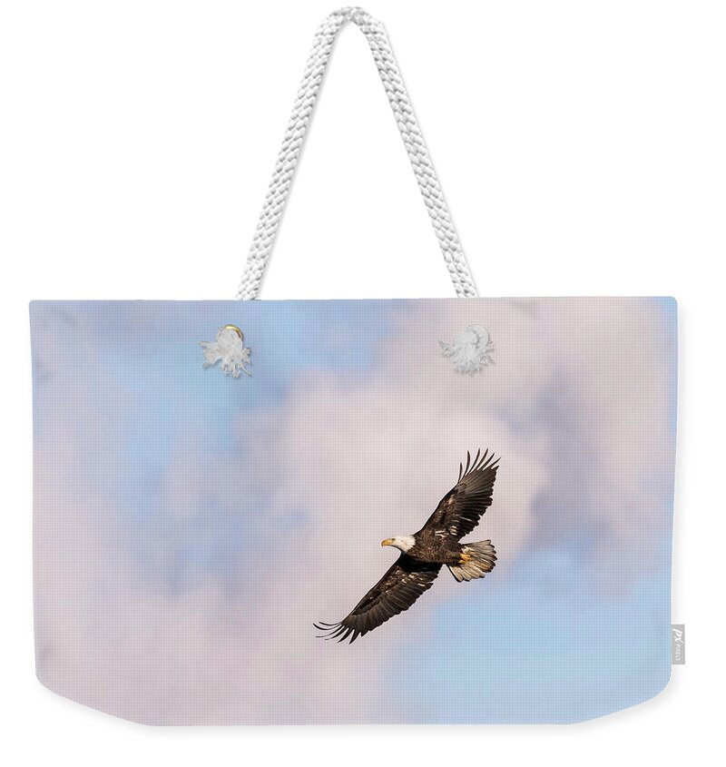 American Bald Eagle Weekender Tote Bag featuring the photograph Bald Eagle 2017-5 by Thomas Young