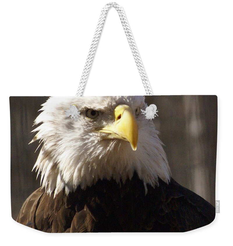 Birds Weekender Tote Bag featuring the photograph Bald Eagle 5 by Marty Koch
