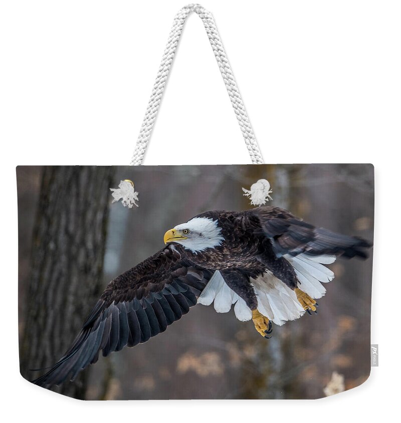 Bald Eagle Weekender Tote Bag featuring the photograph Bald Eagle Flying Thru the Forest by Paul Freidlund
