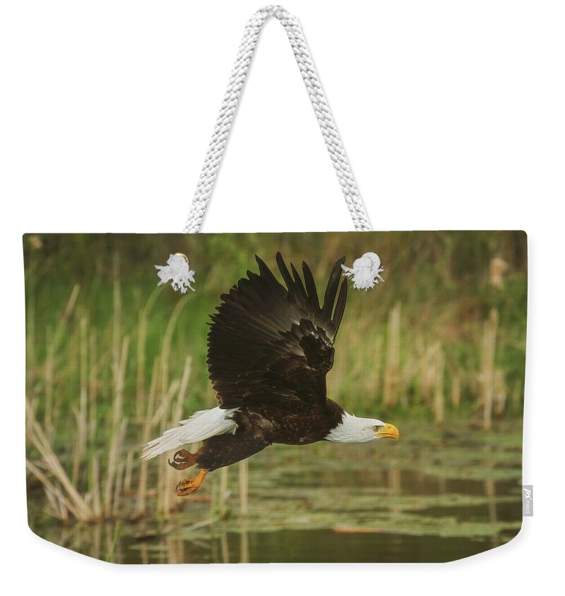 Bald Eagle Weekender Tote Bag featuring the photograph Bald Eagle in Flight by Carrie Ann Grippo-Pike