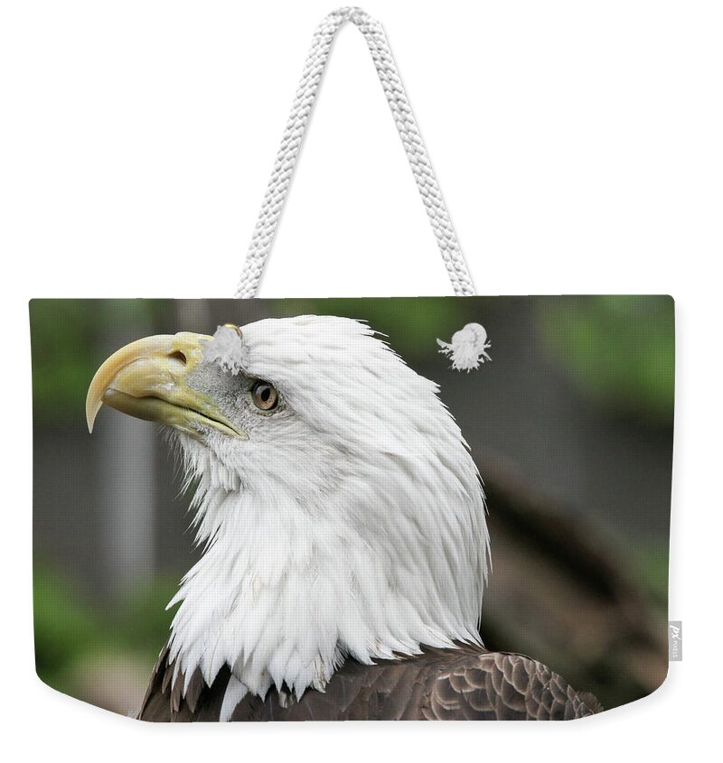 Eagle Weekender Tote Bag featuring the photograph Bald Eagle by Jackson Pearson