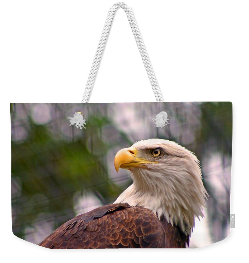 Zoo Weekender Tote Bag featuring the photograph Bald Eagle Majestic by David Rucker