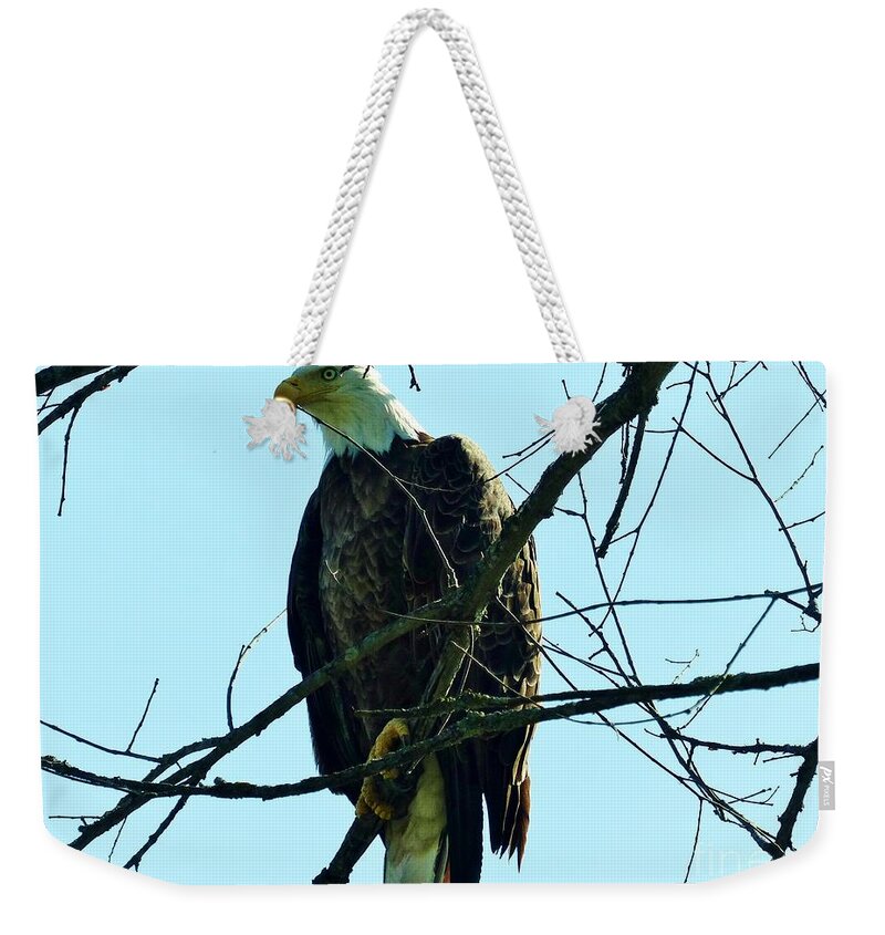Eagle Weekender Tote Bag featuring the photograph Bald Eagle Over The Root River by Rosanne Licciardi
