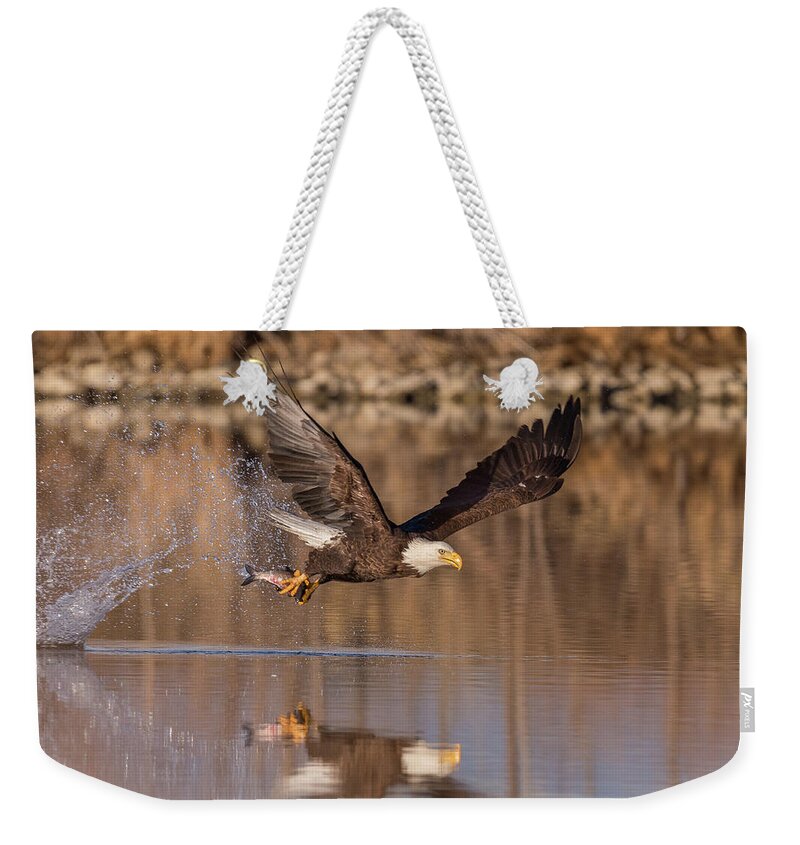 Bald Eagle Weekender Tote Bag featuring the photograph Bald Eagle Snags Breakfast by Tony Hake