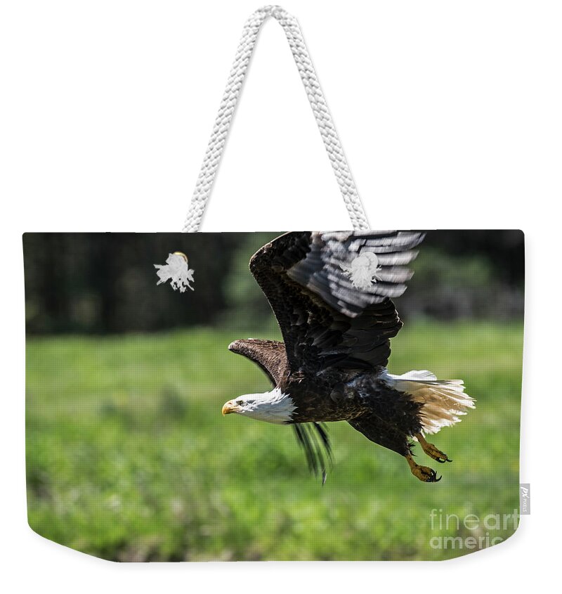 Bald Eagle Weekender Tote Bag featuring the photograph Bald Eagle-3372 by Steve Somerville