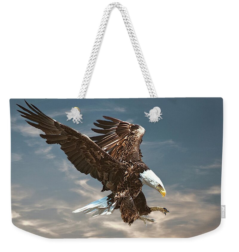 Bald Eagle Weekender Tote Bag featuring the photograph Bald eagle swooping by Brian Tarr