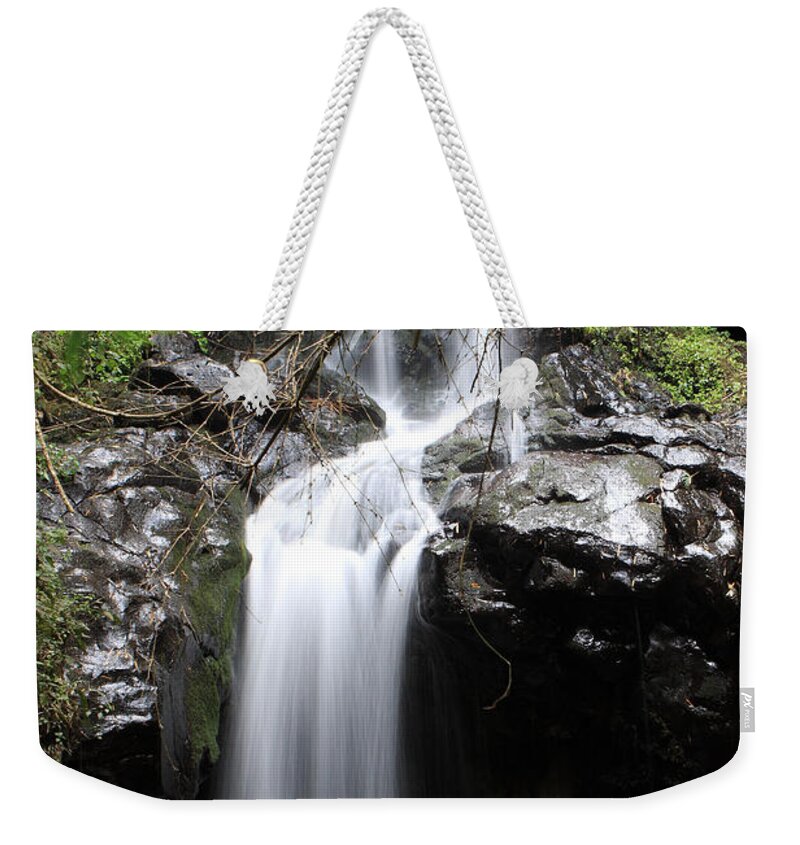 Waterfalls Weekender Tote Bag featuring the photograph Bale Mountain Waterfall, Ethiopia by Aidan Moran
