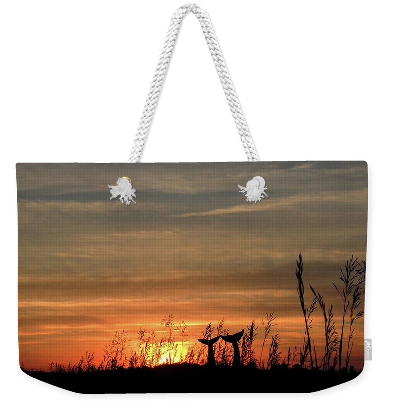 Whale Weekender Tote Bag featuring the photograph Baleines Terrestres des Montagnes Vertes - Four by Vincent Green