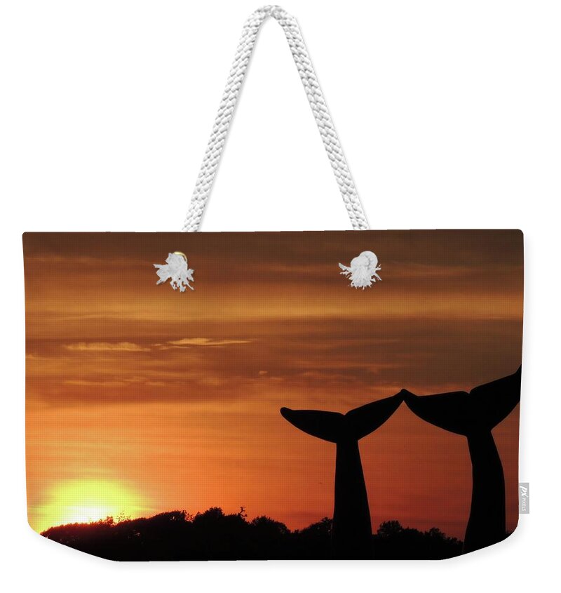Whale Weekender Tote Bag featuring the photograph Baleines Terrestres des Montagnes Vertes - Two by Vincent Green