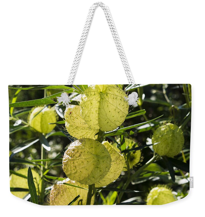 Gardens Weekender Tote Bag featuring the photograph Balloon plant by Steven Ralser