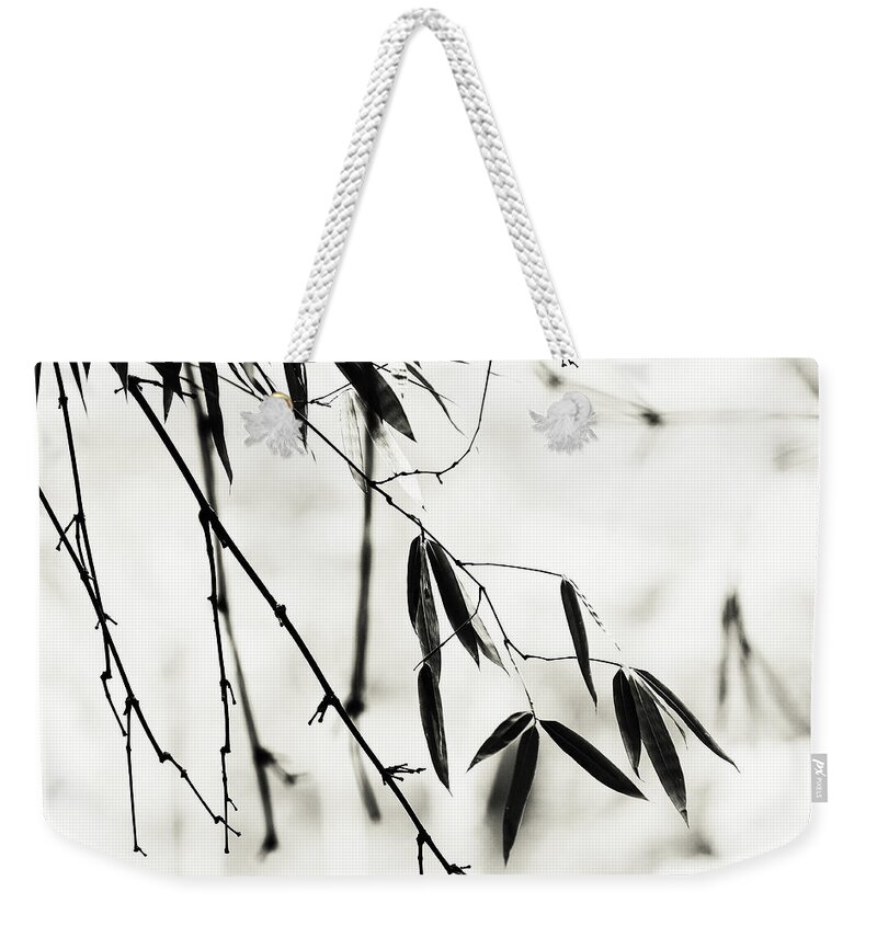 Jenny Rainbow Fine Art Photography Weekender Tote Bag featuring the photograph Bamboo Leaves 1. Black and White by Jenny Rainbow