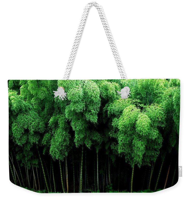 Bamboo Weekender Tote Bag featuring the photograph Bamboo by Mariel Mcmeeking