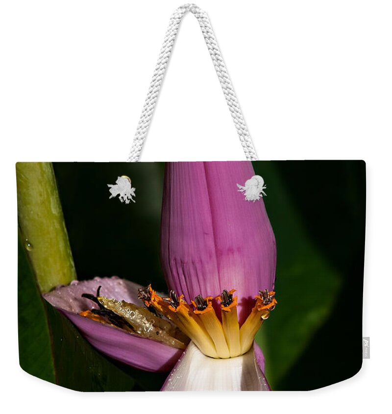 Flower Weekender Tote Bag featuring the photograph Banana Blossom by Christopher Holmes