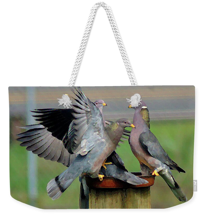 Birds Weekender Tote Bag featuring the photograph Band-Tailed Pigeons #1 by Ben Upham III
