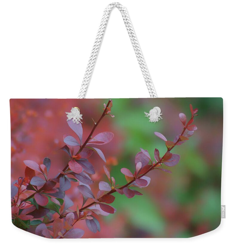 Leaves Weekender Tote Bag featuring the photograph Barberry - Leaves by Nikolyn McDonald