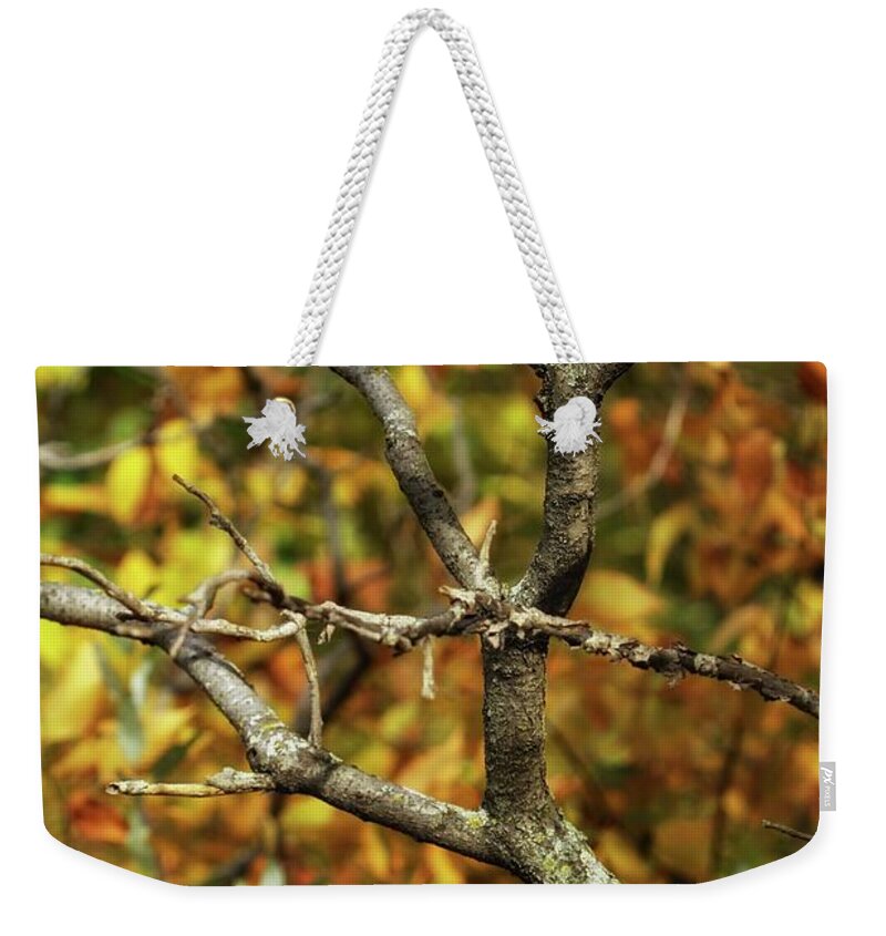 Sumac Weekender Tote Bag featuring the photograph Bare Sumac Tree by Jimmy Ostgard
