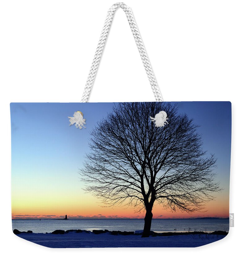 Great Weekender Tote Bag featuring the photograph Bare Tree at Sunrise by James Kirkikis