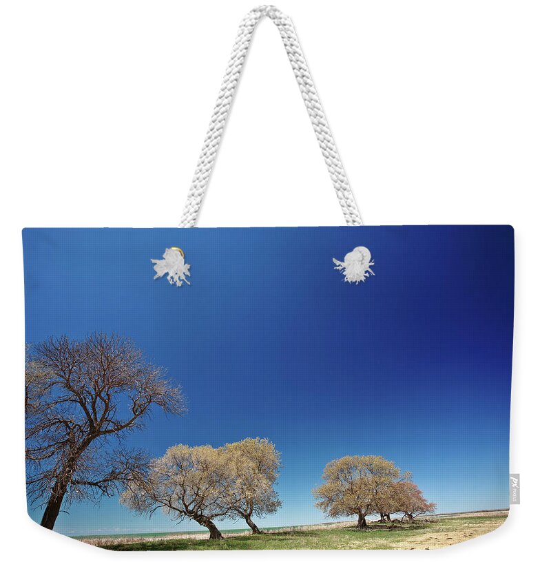 Bare Weekender Tote Bag featuring the digital art Bare trees along shore of Lake Manitoba by Mark Duffy