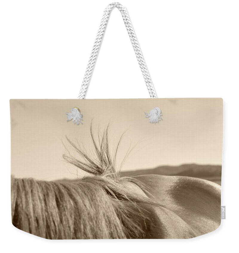 Horse Weekender Tote Bag featuring the photograph Bareback Hold by Amanda Smith
