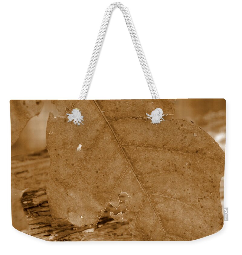 Barkley Weekender Tote Bag featuring the photograph Barkley by Edward Smith