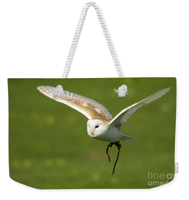 Barn Owl Weekender Tote Bag featuring the photograph Barn Owl by Ang El