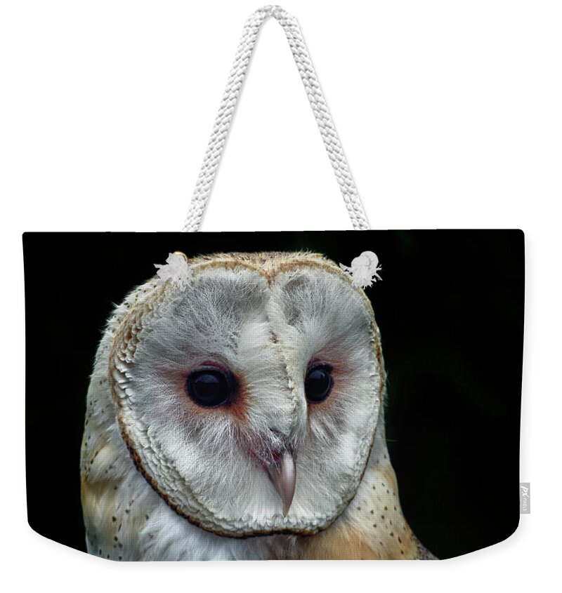 Barn Owl Weekender Tote Bag featuring the photograph Barn Owl Portrait by Garrett Sheehan
