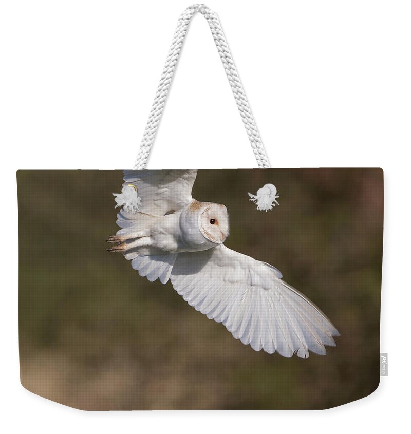 Barn Owl Weekender Tote Bag featuring the photograph Barn Owl Wings by Pete Walkden