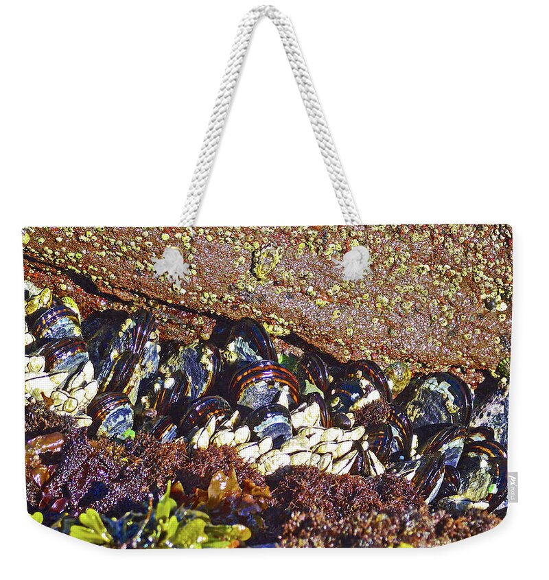Barnacles And Mussels At Tongue Point In Salt Creek Recreation Area On Olympic Peninsula Weekender Tote Bag featuring the photograph Barnacles and Mussels at Tongue Point in Salt Creek Recreation Area on Olympic Peninsula, Washington by Ruth Hager