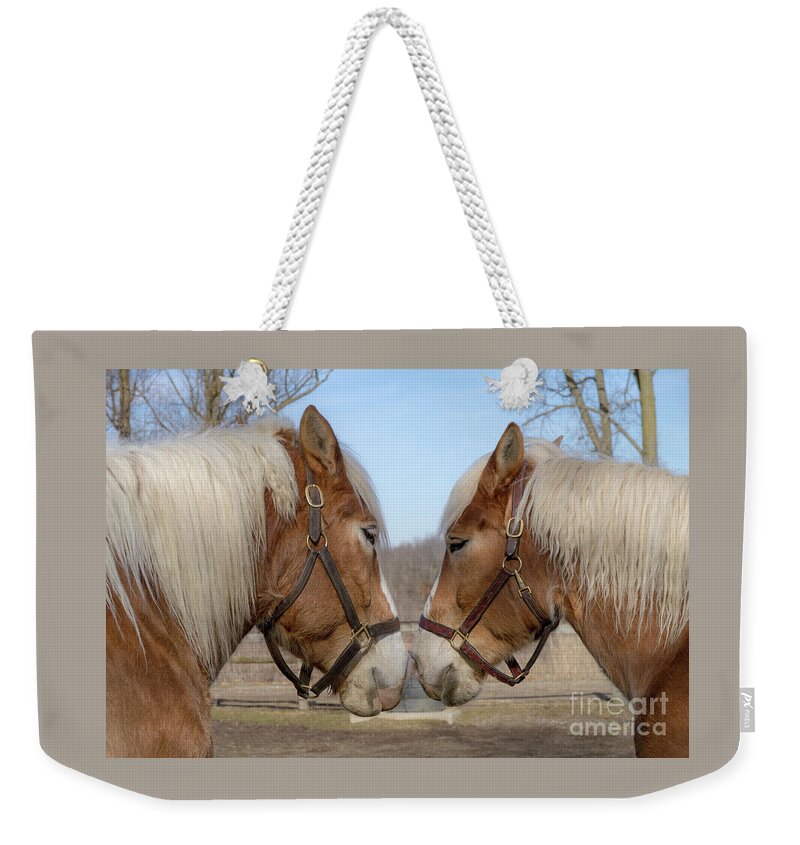 Horses Weekender Tote Bag featuring the photograph Barnyard Buddies by Ann Horn