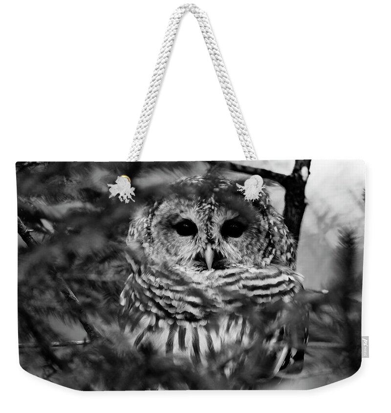 Barred Owl In Thought Weekender Tote Bag featuring the photograph Barred Owl in Black and White by Tracy Winter