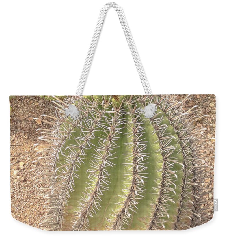 Cactus Weekender Tote Bag featuring the digital art Barrel cactus by Darrell Foster